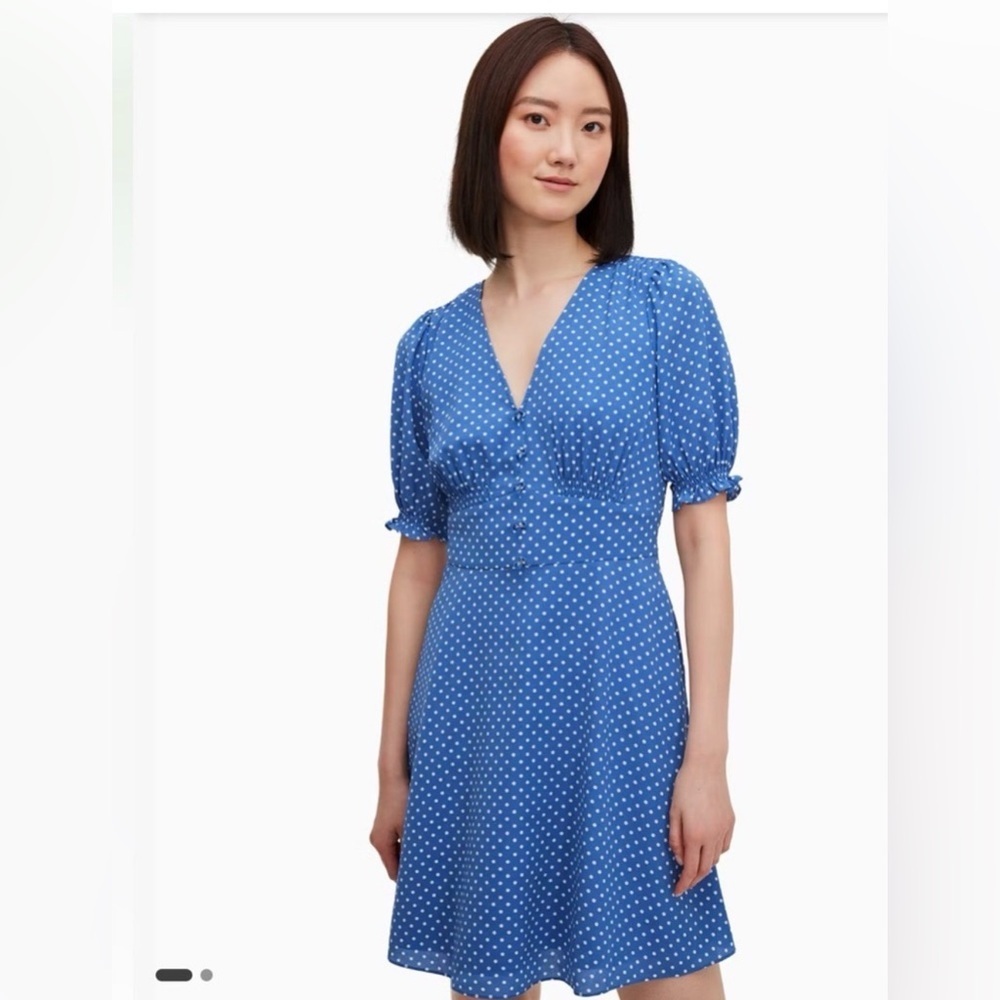 Kate Spade New York Tea Garden Dot Dress Fit And Flare Blue Polka Dot Women’s 2